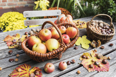 Herbstliche Ernte auf dem Gartentisch: Äpfel, Nüsse und Kastanien in Körben und essbarer Kürbis - GWF06957