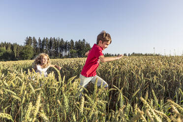 Girl running with brother amidst crop plants during sunset - WFF00515