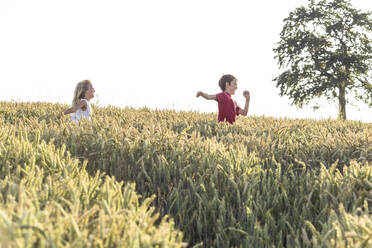 Smiling boy running in front of sister in green field during sunset - WFF00522