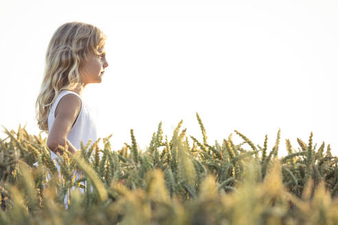Blondes Mädchen, das auf einem landwirtschaftlichen Feld vor dem Himmel steht und träumt - WFF00524