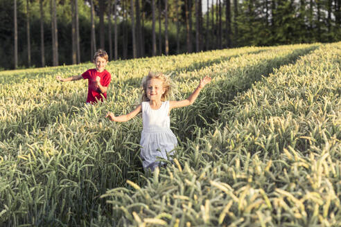 Lächelndes süßes Mädchen läuft mit Bruder inmitten von Kulturpflanzen bei Sonnenuntergang - WFF00525