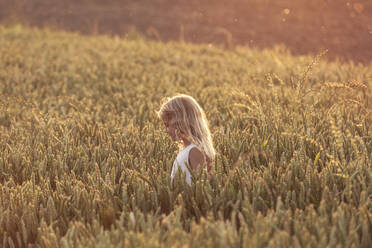 Girl with blond hair observing crop plant - WFF00529