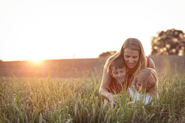Lächelnde Mutter mit Sohn und Tochter auf einem landwirtschaftlichen Feld bei Sonnenuntergang - WFF00530