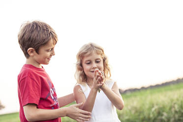 Smiling boy looking at sister playing with leaf in front of sky - WFF00535