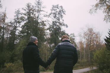 Glückliches homosexuelles Paar hält sich beim Spaziergang im Wald an den Händen - MASF22829