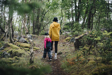 Rückansicht von Mutter und Tochter beim Spaziergang im Wald - MASF22901