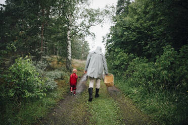 Rückansicht von Vater und Sohn beim Spaziergang im Wald - MASF22902