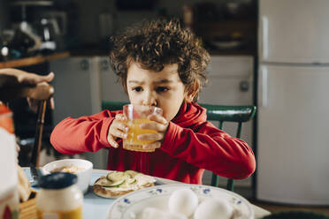 Süßer Junge trinkt Saft, während er beim Frühstück am Tisch sitzt - MASF22909