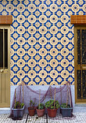 Topfpflanzen vor einer blauen und gelben Mosaikwand mit quadratischen Fliesen - RFTF00041