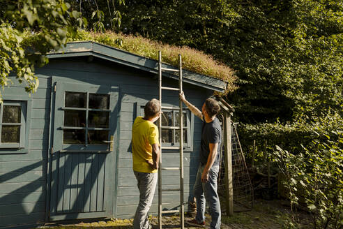 Vater und Sohn halten eine Leiter vor einem Haus - GUSF05624