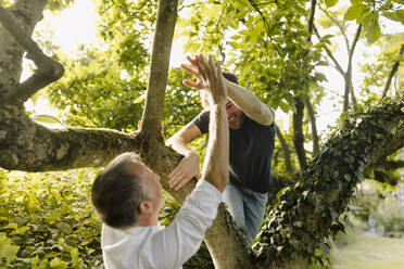 Vater gibt seinem fröhlichen Sohn, der im Garten auf einen Baum klettert, einen High-Five - GUSF05641