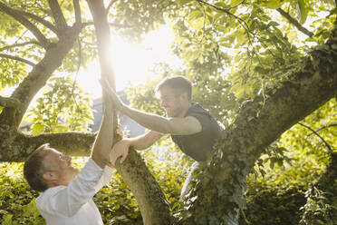 Glücklicher Sohn, der seinem Vater beim Klettern auf einen Baum im Hinterhof während eines sonnigen Tages 