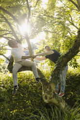 Fröhlicher Vater und Sohn auf einem Baum an einem sonnigen Tag - GUSF05643