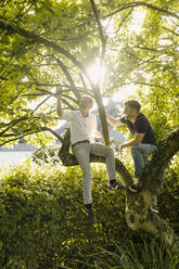 Lächelnder reifer Mann, der einen Zweig hält und neben seinem Sohn auf einem Baum sitzt - GUSF05645