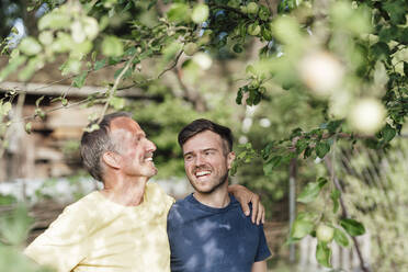 Father looking at tree while standing with son in backyard - GUSF05680