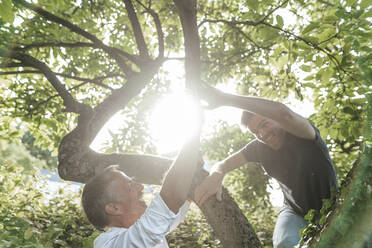 Fröhlicher Sohn klettert auf einen Baum und gibt seinem Vater an einem sonnigen Tag die Hand - GUSF05690