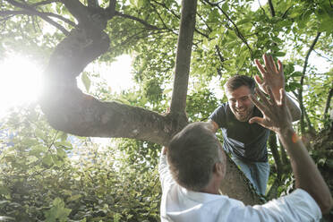 Vater gibt seinem Sohn auf einem Baum an einem sonnigen Tag ein High Five - GUSF05691