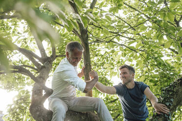 Sohn klettert an einem sonnigen Tag auf einen Baum und hält die Hand des Vaters - GUSF05694