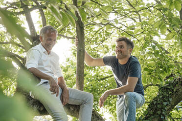 Vater sitzt mit seinem Sohn auf einem Baum und schaut weg an einem sonnigen Tag - GUSF05696