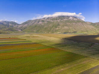 Aerial view of vast flower plantation in Piano Grande plateau - LOMF01277