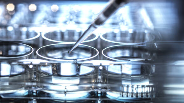 Pipetting sample into micro well plate while doing research on biotechnology - ABRF00869