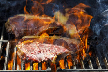 Close up of grilled steaks - IFRF00509