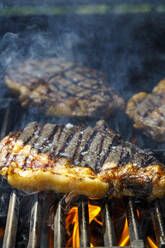 Nahaufnahme von gegrillten Steaks - IFRF00511