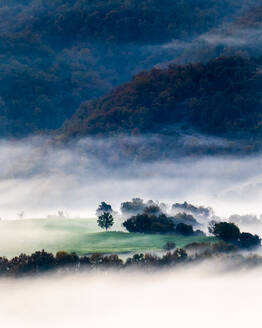 Atemberaubende Landschaft von üppigen bunten Bäumen wachsen im Wald in bergigen Tal gegen nebligen Himmel im Herbst - ADSF22428