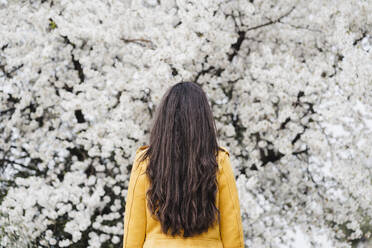 Frau steht vor einem blühenden Baum im Frühling - EBBF03103