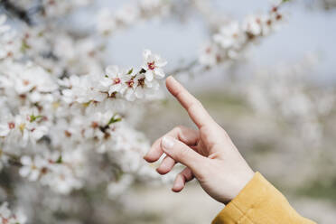 Frau berührt mit dem Finger eine Blume im Frühling - EBBF03104