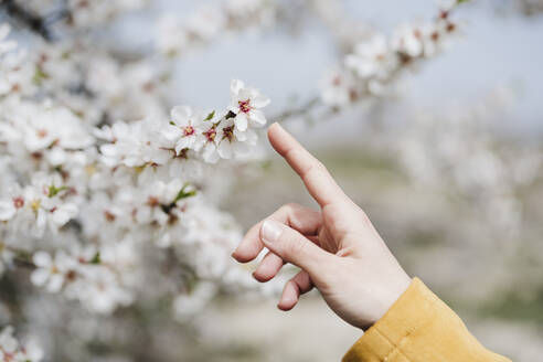 Woman finger touching flower in springtime - EBBF03104