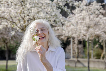 Smiling woman holding white flowers while standing at park - EIF00750