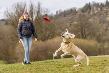 Junge Frau mit Labrador springt, um eine Plastikscheibe zu fangen - STSF02915