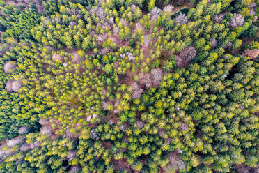 Deutschland, Baden Württemberg, Luftaufnahme des Schwäbischen Waldes im Frühling - STSF02917