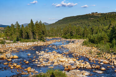 Norwegen, Setesdalen, Rysstad, Felsen im wilden Fluss - RUNF04259