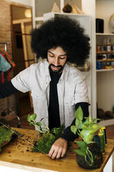 Afro-Mann hält Faden bei der Herstellung von Kokedama Moos Pflanze auf dem Tisch zu Hause - AFVF08483