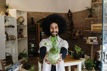 Fröhlicher Mann mit Kokedama-Zimmerpflanze zu Hause - AFVF08497