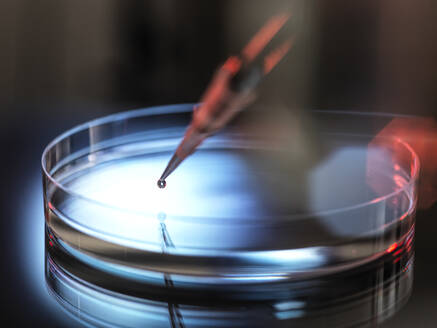 Pipetting sample into petri dish at laboratory - ABRF00872