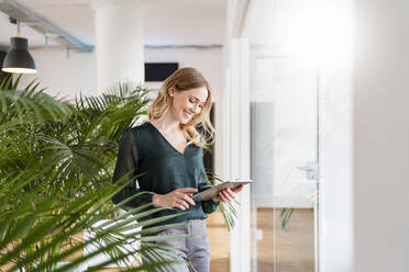 Smiling businesswoman using digital tablet by plant in office - DIGF15022