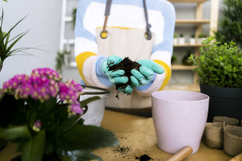 Frau hält Dünger am Blumentopf in der Werkstatt - GIOF12110