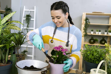 Smiling female gardener putting fertilizer in flower pot while planting in workshop - GIOF12114