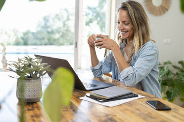 Smiling businesswoman sitting at table and looking at laptop while drinking coffee - SBOF03704