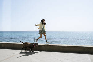 Mittlere erwachsene Frau, die mit ihrem Hund auf einer Stützmauer am Meer spazieren geht - AFVF08546