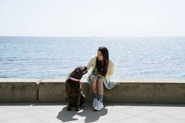 Frau mit Labradorhund auf Stützmauer vor dem Meer sitzend - AFVF08548