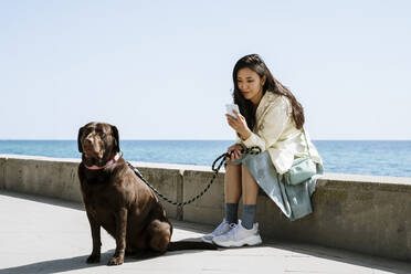 Touristin mit Chocolate Labrador auf Stützmauer am Meer sitzend - AFVF08549