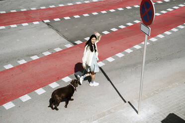 Smiling woman waving hand while crossing street with Labrador dog - AFVF08558
