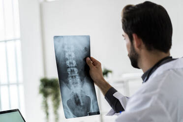 Male doctor examining X-ray in hospital - GIOF12213