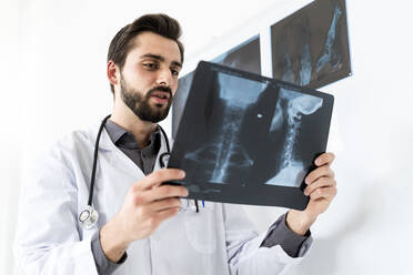 Male medical expert examining X-ray report while standing by white board - GIOF12246