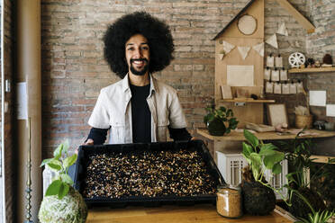 Male gardener showing variety of seeds in plastic tray - AFVF08565