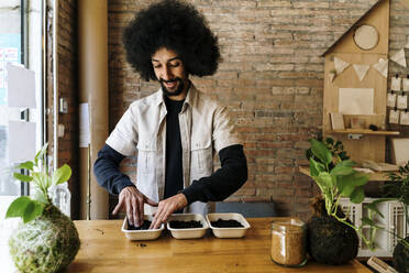 Afro man arranging microgreen plants in tray while working at workshop - AFVF08567